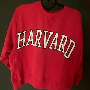 SLUTSÅLD TRÖJA  - Slutsåld tröja från zara, superfint skick, storlek s, använd 1-3 gånger, säljer pga inte kommer till användning, köpt för 350kr säljer för 120kr, vid fler som är  intresserade blir det budgivning<3 