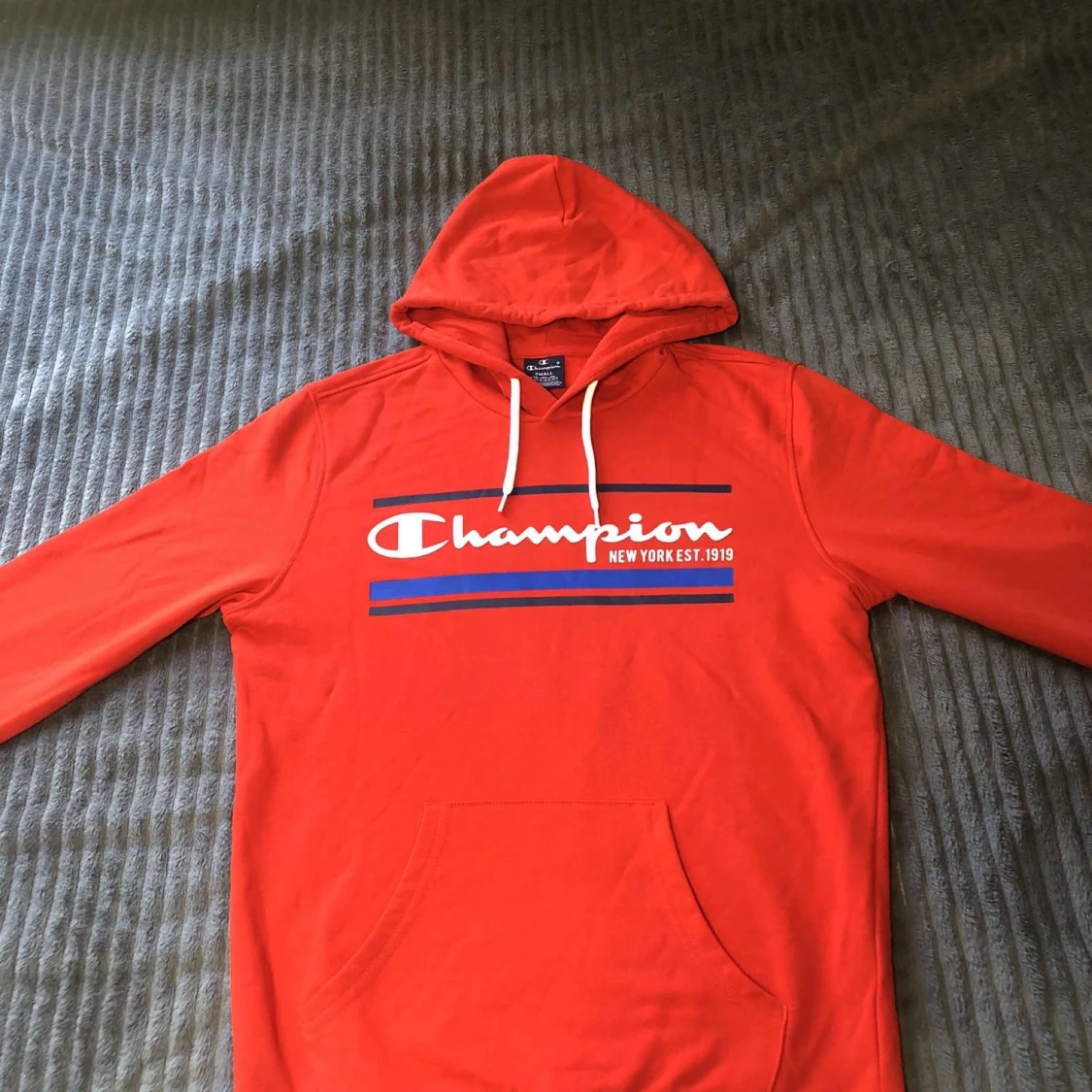 Champion hodie 