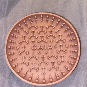 Caia  - Tvättomats för borstar från caia aldrig använd säljer då jag inte brukar tvätta mina borstar nypris 155kr