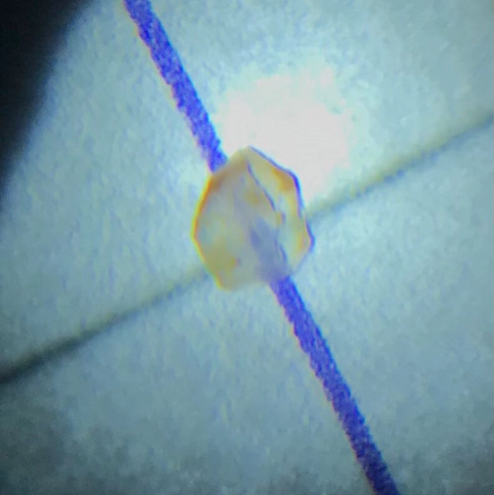 Alla mina stenar är fotograferade via en lup. Sten nr 1: storlek 16mm x 12mm pris: 20kr. Sten nr 2: storlek 13mm x 11mm pris: 20kr. Sten nr 3: storlek 3 mm x 3mm pris: 20kr . Övrigt.