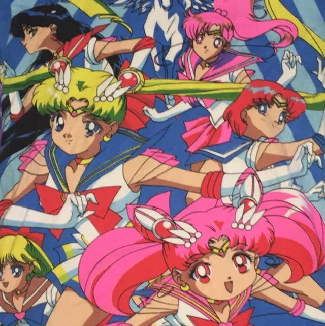 Sailor moon 🌙 t-Shirt i fink skick ✨  frakt kostnad 45kr annars kan jag mötas upp på söder.. T-shirts.