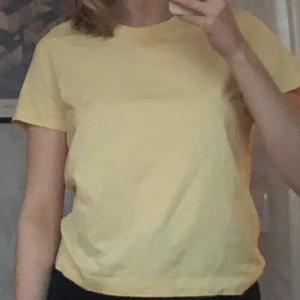 Weekday t-shirt - Köptes för 100 kronor förra året :)