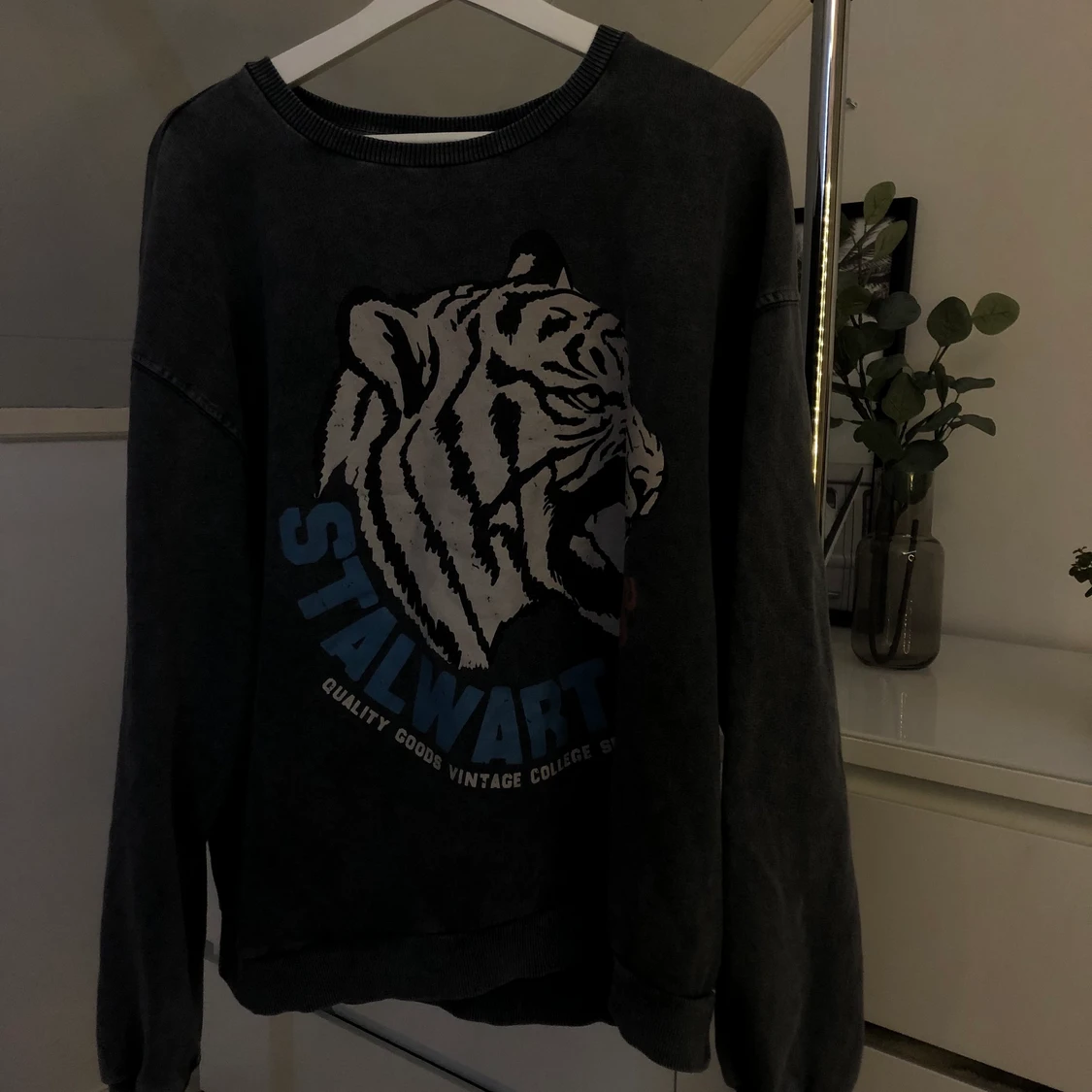 Sjukt fin sweatshirt🐺🐺 - 90