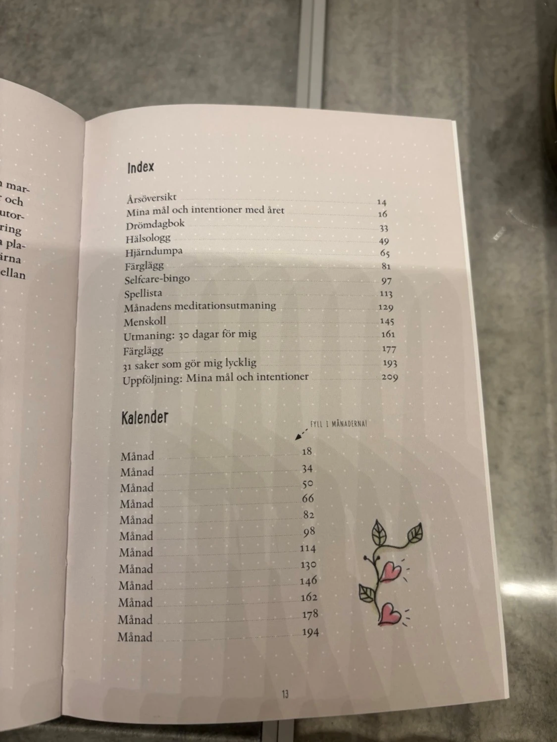 Mitt bästa år - En bullet journal - 5