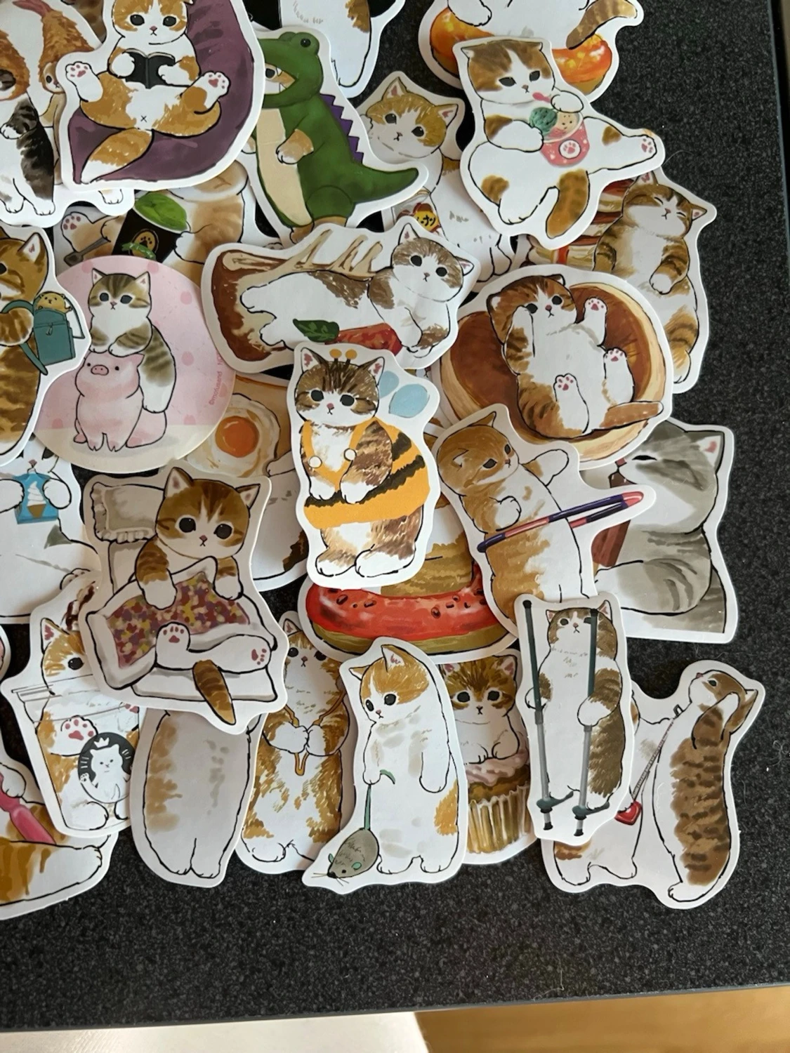 Katt klistermärken  - 4