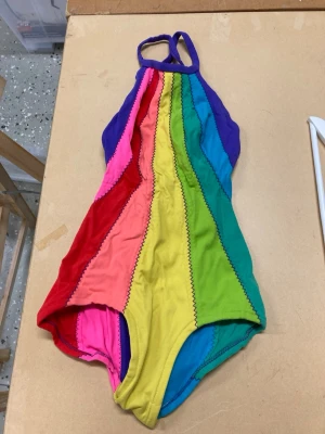 Regnbågsfärgad baddräkt  - Färgglad baddräkt med regnbågsränder i rosa, rött, orange, gult, grönt, blått och lila. Modellen har smala axelband och hög halsringning. Dekorativa sicksacksömmar mellan färgfälten. Perfekt för dig som vill sticka ut på stranden eller vid poolen.