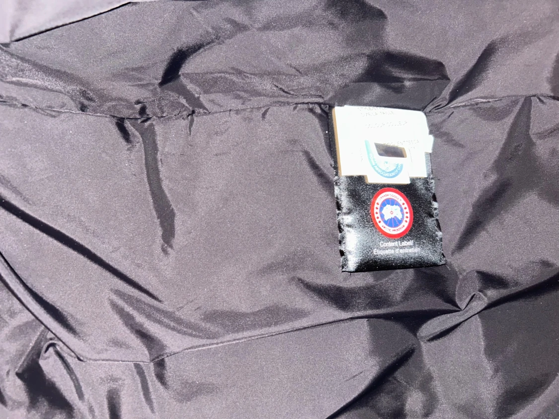 Wyndham canada goose - 1