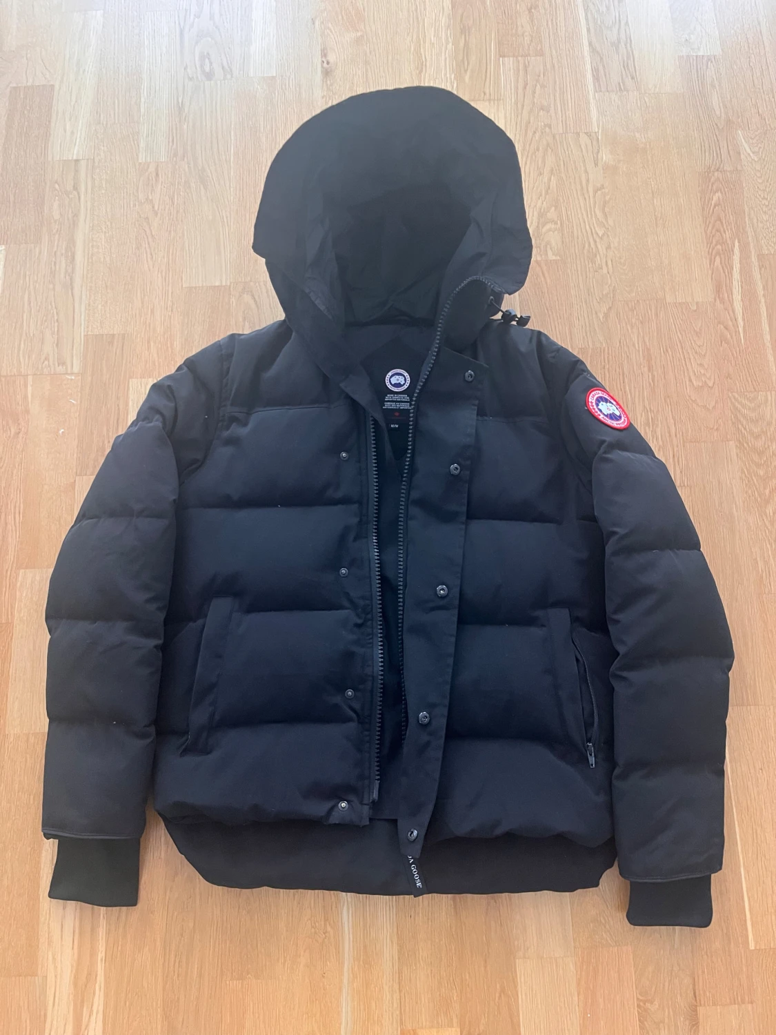 Canada goose Macmillian