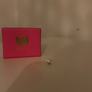 Silverörhänge - Snyggt örhänge i form av en liten stjärna i silver från L8H. Perfekt detalj för att lyfta din stil med en touch av lyx. Kommer i original rosa ask med guldfärgad logga. Nypris ca 250kr. 🌟