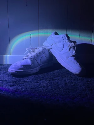 Nike Dunk Low  - Säljer ett par Nike Dunk Low grå/vita i riktigt bra skick. Skorna är använda uppskattningsvis 2-4 gånger i soligt väder. Bilderna är som dem är skickar gärna bättre ifall ni skulle vara intresserade. Syns knappt att de är använda mer än att det är ytterst lite creasade. Hör av er ifall ni är intresserade!