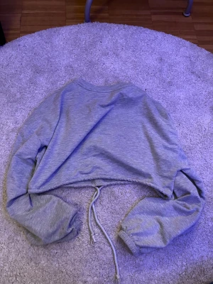 Grå croppad tröja från SHEIN - Grå croppad tröja från SHEIN med långa ärmar och snörning i midjan. Tröjan har en enkel design med rund hals och elastiska muddar vid ärmsluten. Perfekt för dig som gillar en chill och trendig stil.