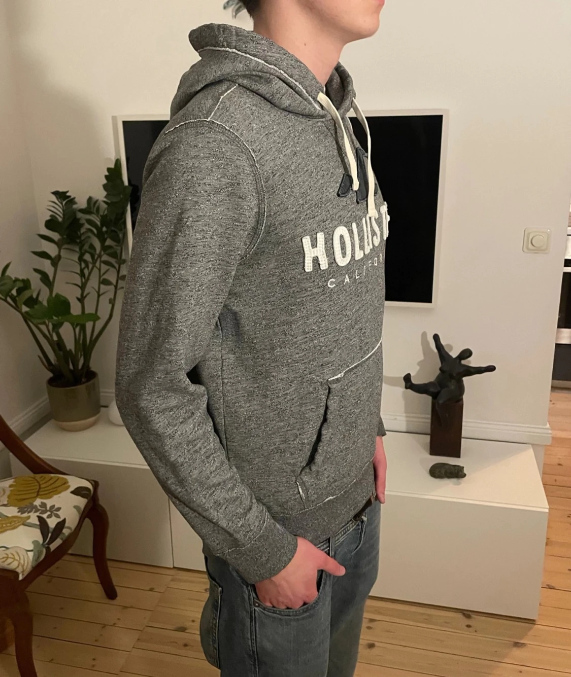 Grå hoodie från Hollister  - 1