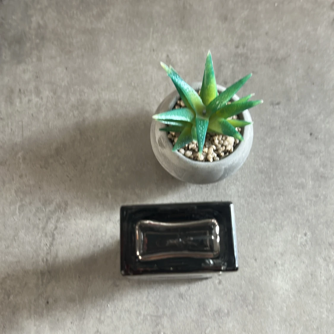 Black Wood Eau de Parfum 50ml - 3