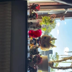 Seriefigurer - Funko Pop-figurer och animefigurer från serierna My Hero Academia, Demon slayer, Pokemon, Marvel och DC. Kiroshima, Inosuke, Harley quinn och Pokemonen kan inte stå upp själva, resten kan utan problem. 200 för allt tillsammans 10kr för en liten, 15 för en medel, 25 för den stora. De röd överstruckna är sålda