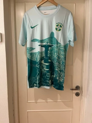 Brazil summer special jersey green - Nike Brasil Dri-Fit t-shirt i ljusgrönt med tryck av Kristusstatyn och Rio de Janeiro. Bröstet har Nike-logga och CBF-märke med broderade stjärnor. Tillverkad i lätt polyester som andas, perfekt för fotboll eller träning.
