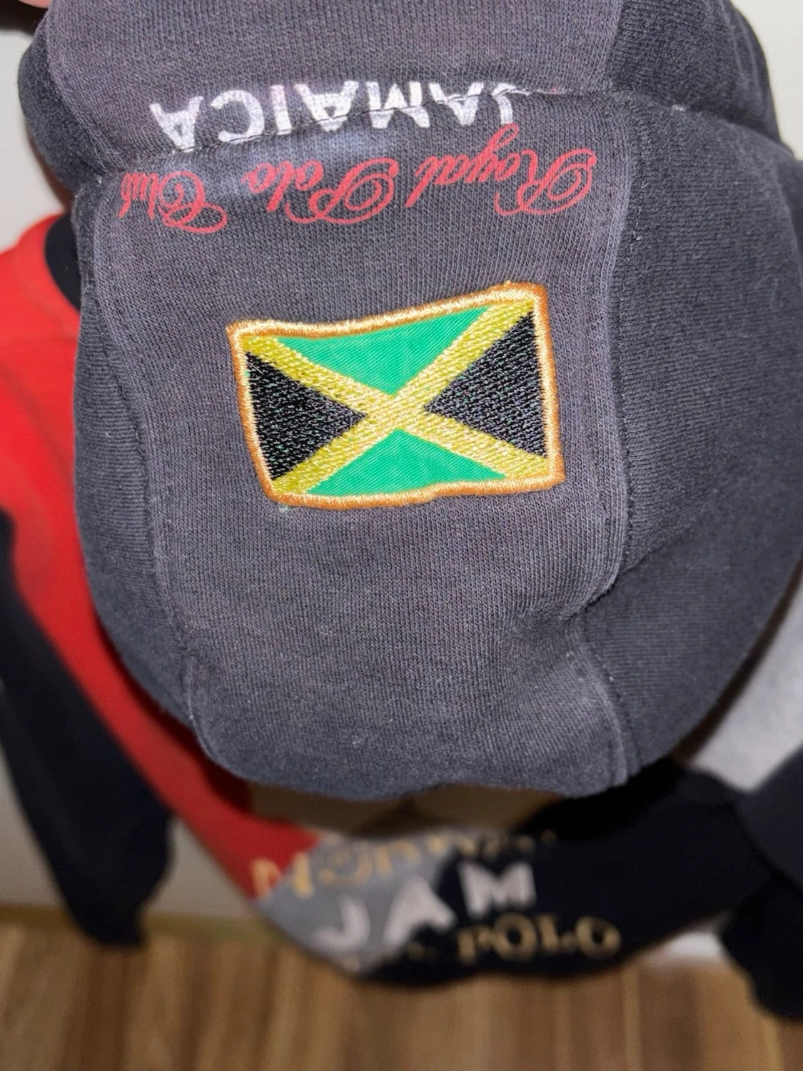 Geographical Norway Hoodie - 2