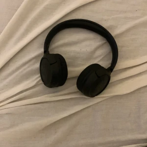 JBL hörlurar  - Fungerar bra måste laddas med Samsung laddare 