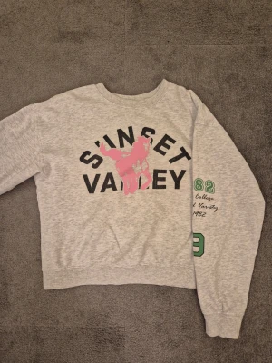 Sweatshirt från H&M - Grå sweatshirt från H&M som har ett snyggt tryck på framsidan och ärmen. Storlek xxs, men passar även xs och s. Hör av er om ni har några frågor🤞