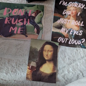 Don't Rush Me / I'm Sorry, Did I Just Roll My Eyes Out Loud? - Samling med humoristiska konstmotiv och citat, perfekt för dig som gillar klassisk konst med en modern twist. Passar utmärkt som dekoration eller inspiration för unga vuxna som vill ha något unikt och roligt i sitt rum. Print på duk som går att ha dom dem är eller rama in. 2st 30x40 och en 20x30. 