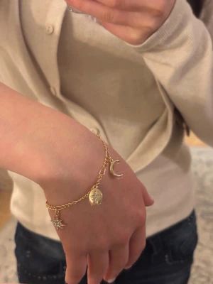 Guldigt charmarmband med berlocker - Säljer ett guldigt armband med flera berlocker, bland annat måne, hjärtan med stenar, stjärna och en liten pärla. Kedjan är tunn och smidig, perfekt för dig som gillar detaljer och vill ha något unikt på handleden. Passar till dig som gillar trendiga accessoarer.