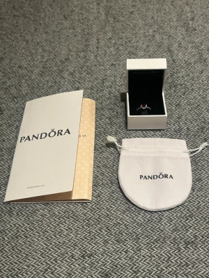 Pandora ring  - En Pandora ring i 925 sterling silver. Den är storlek 54 mm. Säljer åt en vän då deras förhållande inte funkade. Hör av dig om du vill ha fler bilder. Priset kan diskuteras! Fraktar samma dag✅
