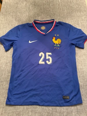 Bradley Barcola #25 - Säljer en snygg Frankrike landslagströja med Bradley Barcola #25 på ryggen. Pris 299 kr. Vid snabb affär är priset diskuterbart! 