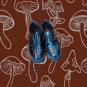 Svarta chunky skor från Monki - Chunky svarta skor från Monki med glansig finish och kraftig sula. Skorna har snörning och rund tå, tillverkade i veganskt syntetmaterial. Perfekta för dig som vill ha en edgy och stilren look.