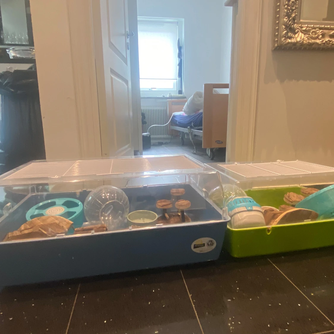 Dvärg hamster burar 