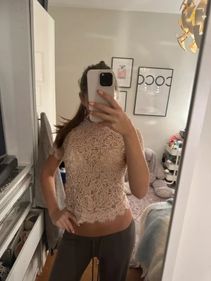 Beige/rosa spetsblus med kort ärm - Säljer en beige/rosa blus i spets med korta ärmar och hög hals. Blusen har ett detaljerat broderat mönster och är croppad med vågig kant nertill. Perfekt för dig som gillar romantisk och feminin stil.