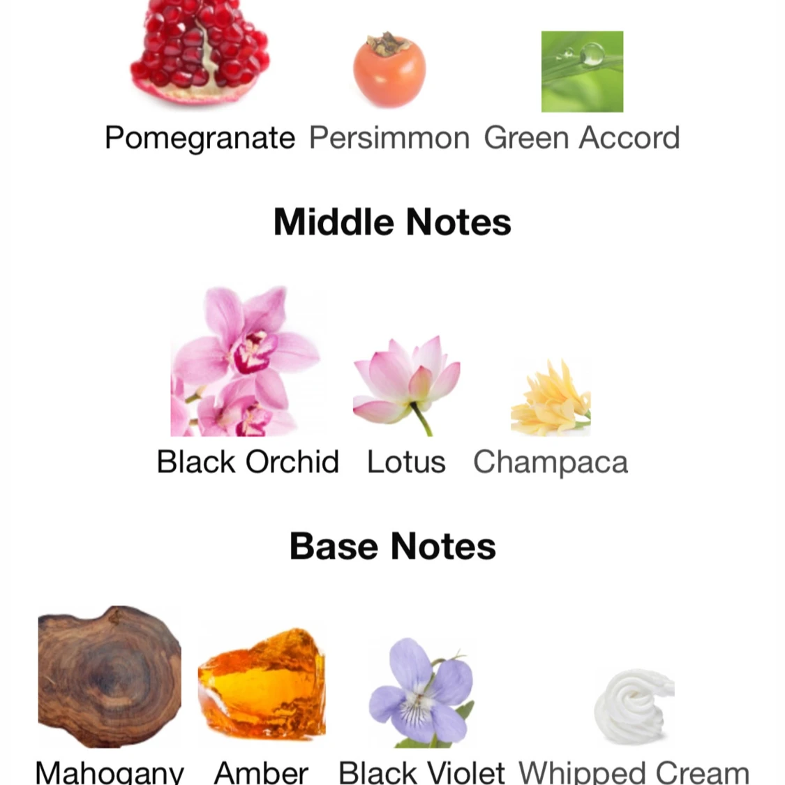 Euphoria Calvin Klein edp 30 ml - 4