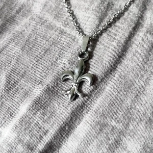 Minimalist Silver Fleur De Lis - 50 cm. Rostfri 