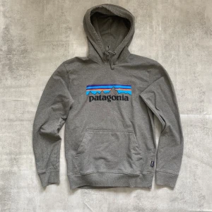 Grå Patagonia hoodie  - Jag Säljer en fet hoodie från Patagonia | skicket på tröjan är bra 8/10 | storlek s | ny pris 1500: mitt pris är 499 | skriv vid frågor och funderingar       