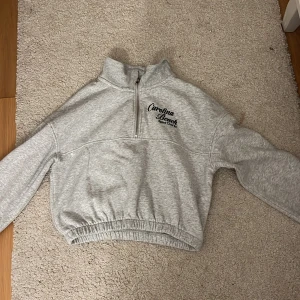 Grå tröja med dragkedja från H&M - Säljer en grå tröja från H&M med halv dragkedja och texten 'Carolina Beach' broderad på bröstet. Tröjan har långa ärmar och elastisk nederkant för en bekväm passform. Perfekt för en avslappnad stil.