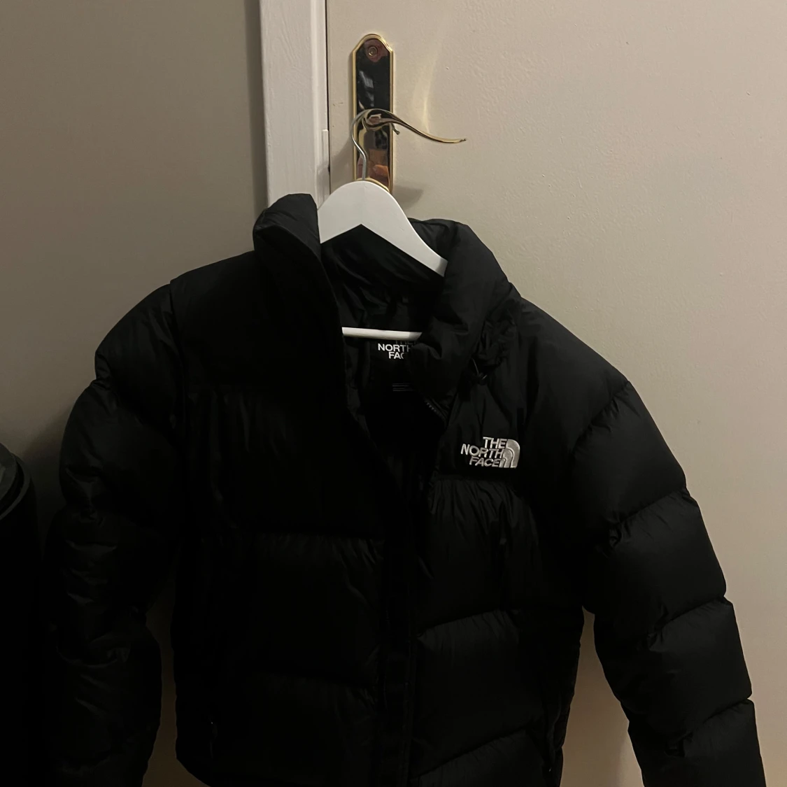The North Face puffet jacket