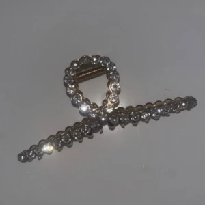 Festlig klämma - Snygg glittrig klämma i silverfärg. De har en cirkulär design med gnistrande stenar som ger en elegant touch. Perfekta för att lysa upp vilken outfit som helst.