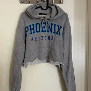 Grå hoodie från Bik Bok st S - Säljer en grå hoodie från Bik Bok i storlek S. Den har en cool 'PHOENIX ARIZONA' text i blått på framsidan. Hoodien är croppad och har en skön passform med långa ärmar. Perfekt för en avslappnad stil!