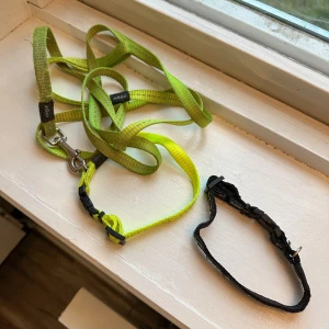 Hundkoppel + halsband - Ett neongrönt vanligt koppel med reflex i & tillhörande halsband & ett svart mönstrat halsband, båda halsbanden är justerbara och är använd några gånger och har några tecken på användning som man kan se på bilden. FÖRST TILL KVARN!