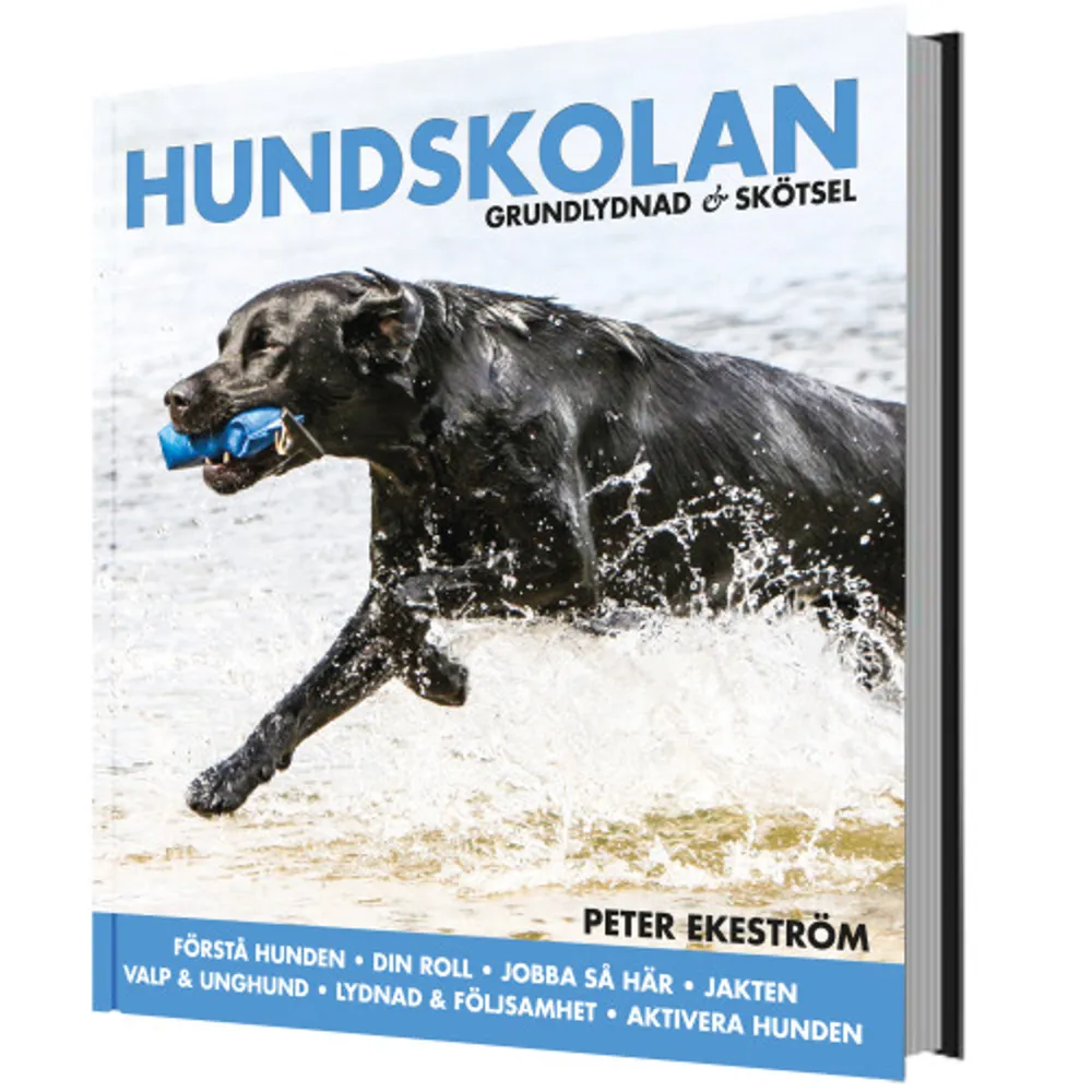 Det mesta, kanske allt, en hundägare behöver känna till, presenteras här på ett pedagogiskt och logiskt sätt. Stort plus i kanten till kapitlet om rumsrenhetsträning, förmodligen det bästa som skrivits på svenska.Om tidgare Jakthundskolan av lektör Per Flodberg, BTJ-häfte 14110189Hundskolan är en reviderad upplaga av tidigare utgivna Jakthundskolan, vars titel flera recensenter och läsare ansåg miss­visande. Boken fungerar garanterat lika bra på alla hundar inte bara jakthundar. Boken handlar om är att förstå sin hund och dess behov, utifrån det skapar man en relation som leder till lydnad och ömsesidig nytta och glädje. Författaren Peter Ekeström är en god pedagog. Han beskriver ett problem, eller en företeelse, och förklarar varför hunden gör som den gör. Samt hur hunden beter sig, eller reagerar på ett visst sätt av en anledning, instinktivt eller inlärt. Sedan gäller det för hundägaren att läsa sin hund, förstå den och möte beteendet i rätt ögonblick. Peter Ekeström är journalisten, fotografen och hundföraren som under mer än 20 år byggt upp en stor kunskap, och en stor verksamhet, i ämnet Hund. Hans fokus har alltid varit jakthundar men mycket av det han lär ut under sina kurser och föredrag riktar sig i praktiken till alla hundägare. En hund är en hund, det visar han med stor tydlighet i den här boken.I instruktiva och begripliga texter, och med hjälp av ett stort antal bilder, visar han olika sätt att träna, arbeta med och sköta hundar som tilltalar många hundägare. Inte minst hans fotografier gör det lätt att ta till sig kunskapen och i boken spelar bilderna en stor roll.I boken hittar läsaren kunskap om hundens språk och hur vi enkelt och snabbt kan få hunden att förstå vad vi vill, här finns avsnitt om valpfostran, lekens betydelse, aktiveringar, fysisk träning, hur man vinner följsamhet, en bättre inkallning och mycket mer. Allt enkelt förklarat och rikt illustrerat.    Format Inbunden   Omfång 185 sidor   Språk Svenska   Förlag Bokförlaget Settern   Utgivningsdatum 2018-03-09   ISBN 9789175866659  . Böcker.