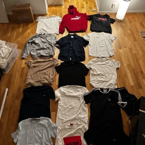 Samling av t-shirts och en hoodie - En samling av olika t-shirts samt en röd hoodie. Säljer dessa t-shirts inte passar längre. Storlekarna varierar mellan M och L. 100kr per styck.