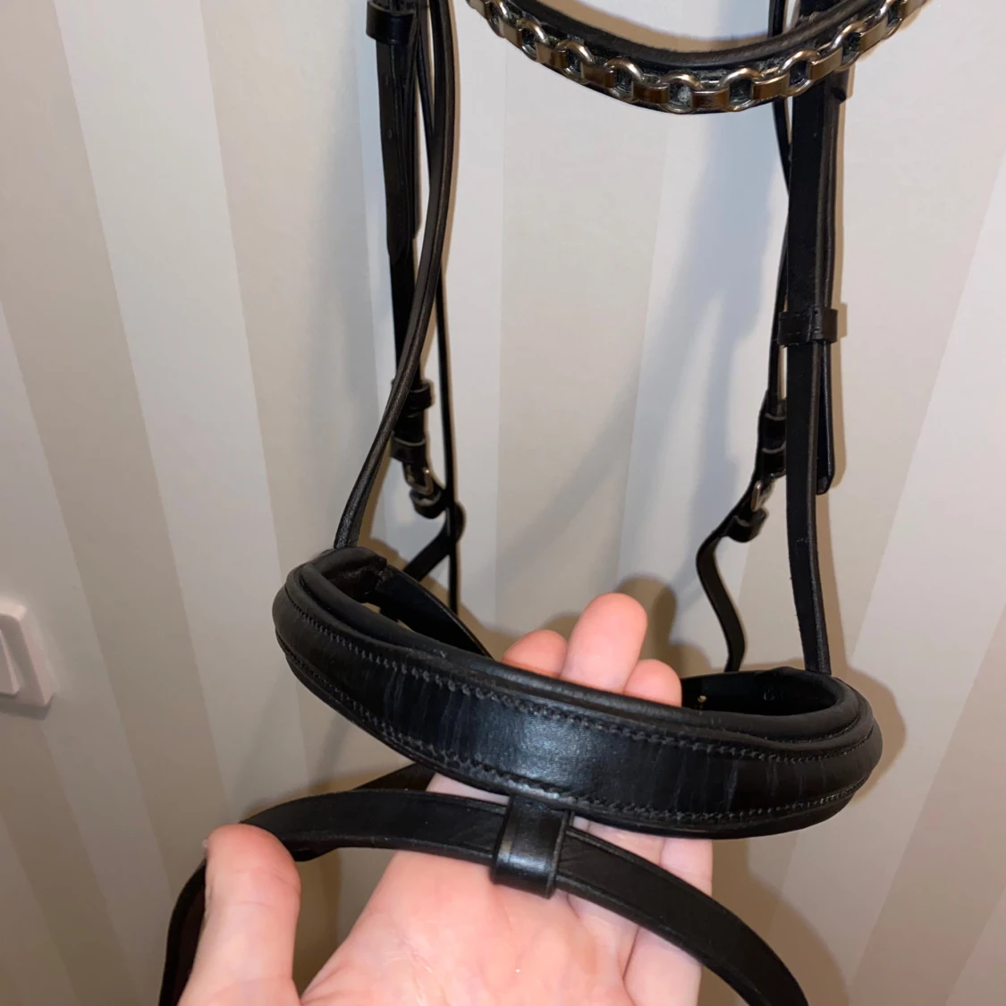 Träns från fairfield - 91