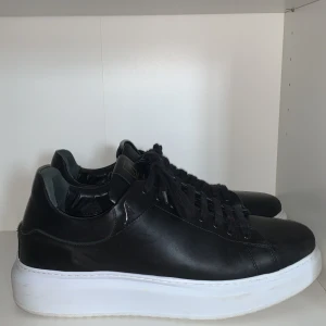 Stinaa.j skor  - Säljer ett par stinaa.j skor köpta på NK för 4300kr men vårt pris är 2275, strl 44, lite repor längst fram på skon. Jag skulle lätt säga att det är en av de skönaste skorna jag har haft. skorna 