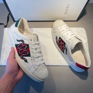 Gucci ace  - Gucci ace ”snake” allt og följer med,de är i bra skick släng iväg ett meddelande om du har funderingar!