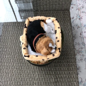 Låtsas hund - Låtsas hund: perfekt för de som gillar hundar. När man setter igång knappen så gör låtsas hunden hundljud och viftar svansen.