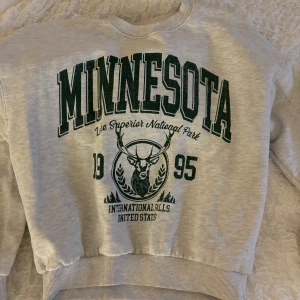 Grå sweatshirt STAY - Säljer en grå sweatshirt från Stay med tryck av 'Minnesota' och en cool hjortdesign. Tröjan har ribbade muddar vid ärmslut och nederkant, vilket ger en skön passform. Perfekt för en avslappnad stil eller mysiga dagar hemma. 