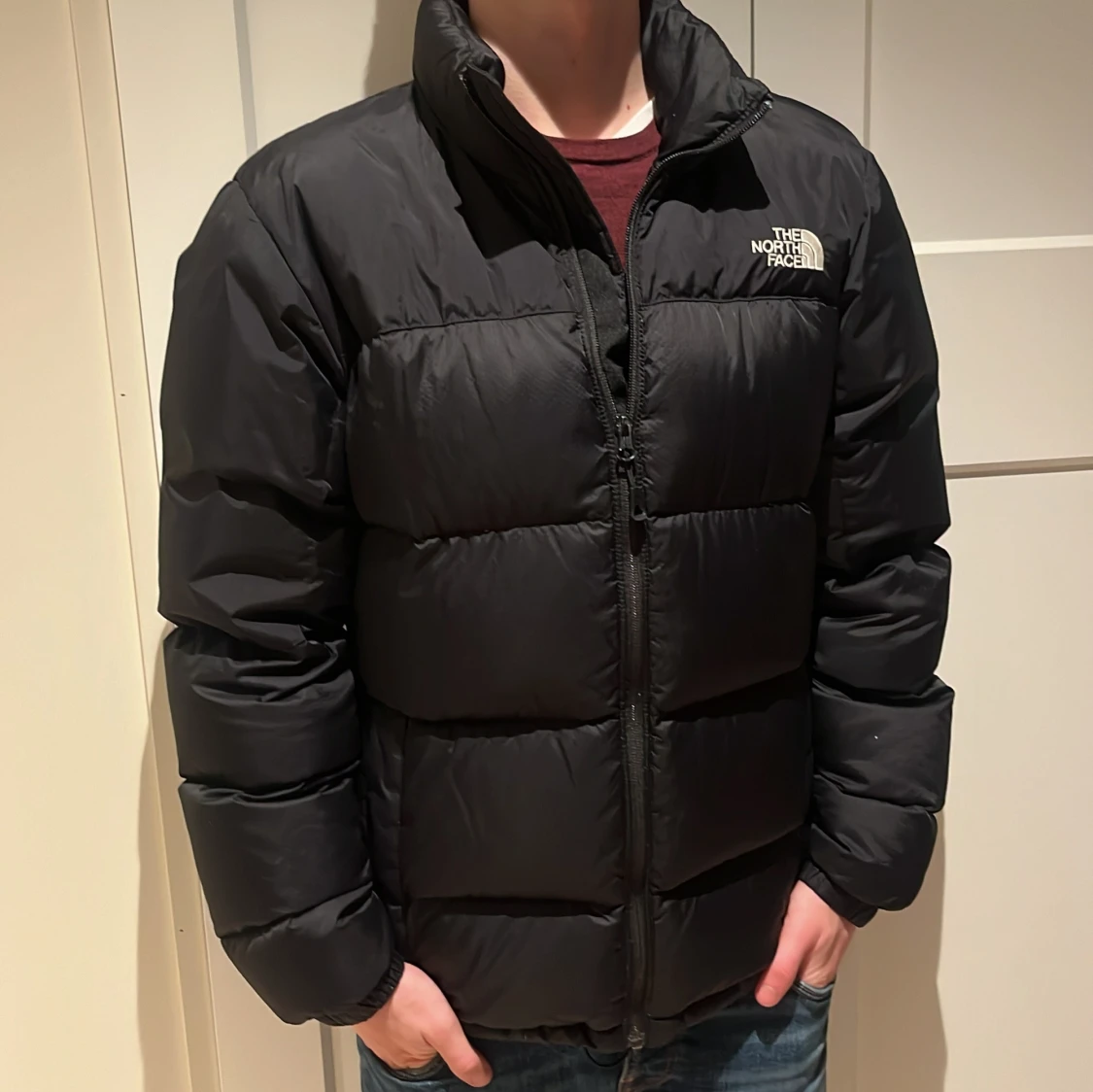 The North Face Puffer Jacket Dunjacka - 91