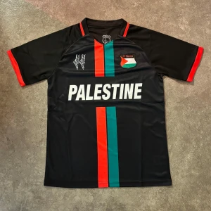 FC Palestine Jersey - Snygg svart fotbollströja med texten 'Palestine' i vitt på framsidan. Tröjan har korta ärmar med röda detaljer och ett vertikalt mönster i rött och grönt. Perfekt för fotbollsfans som vill visa sitt stöd.