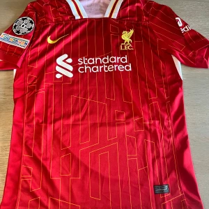 Chiesa  - Chiesa 2024