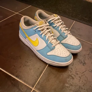 Nike dunks skor  - Bra skick haft de i 1 år men har inte använt de så mycket då de var små 