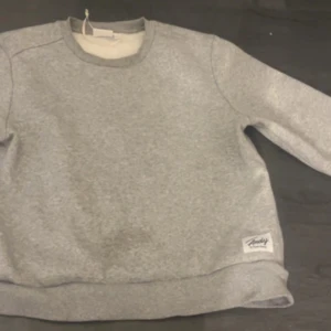 Grå sweatshirt från Molo - Säljer en grå sweatshirt från Molo med rund halsringning och långa ärmar. Tröjan har en liten etikett med logotypen vid nederkanten. Perfekt för en avslappnad stil.