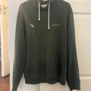 Axel Arigato Hoodie - Grön axel arigato hoodie som använt skick! Skriv ifall fler bilder behövs eller frågor has!